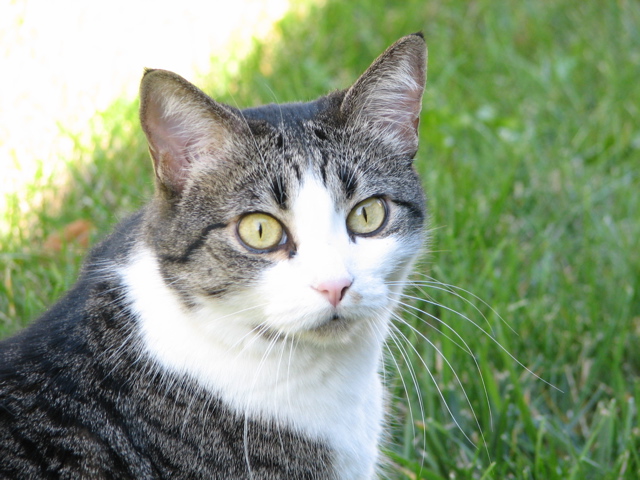 Sally - 1