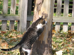 Sally - 12