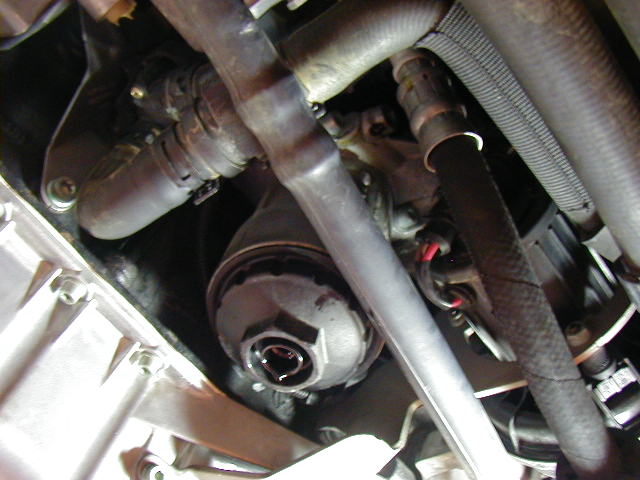 day_2_02.JPG (56893 bytes)