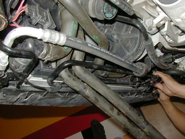 day_2_18.JPG (57488 bytes)