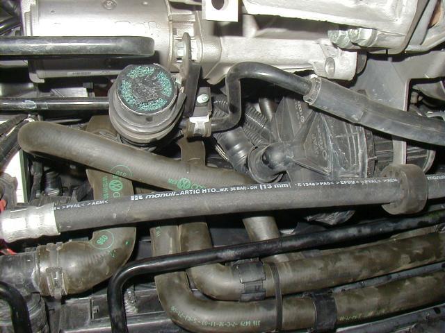 day_2_19.JPG (58510 bytes)