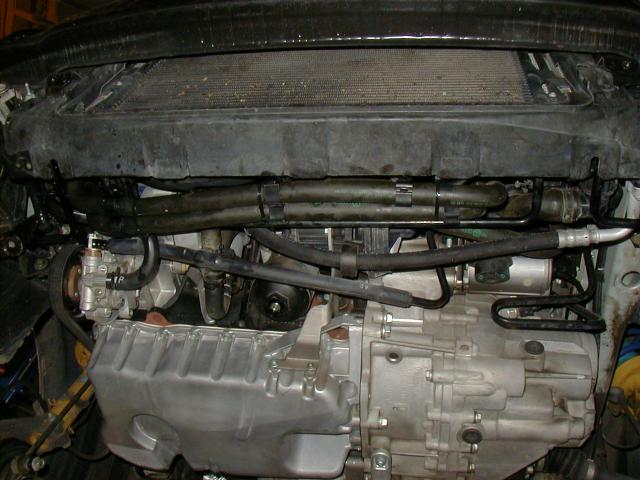 day_2_20.JPG (50710 bytes)