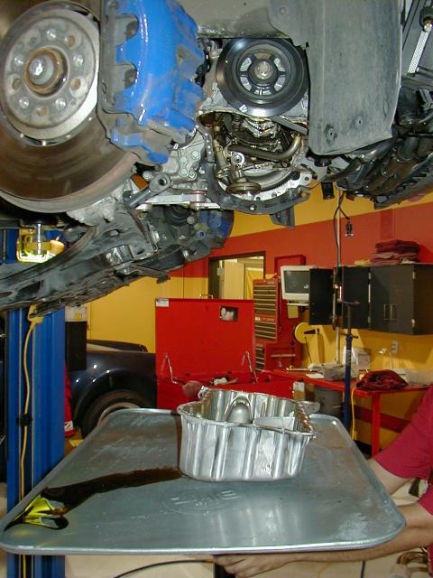 day_2_28.JPG (59274 bytes)