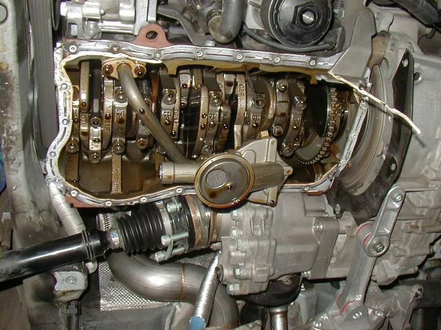 day_2_29.JPG (69553 bytes)